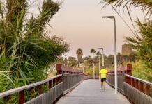 El Ayuntamiento de Estepona amplia el corredor litoral en la zona de Matas Verdes Estepona amplia el corredor litoral