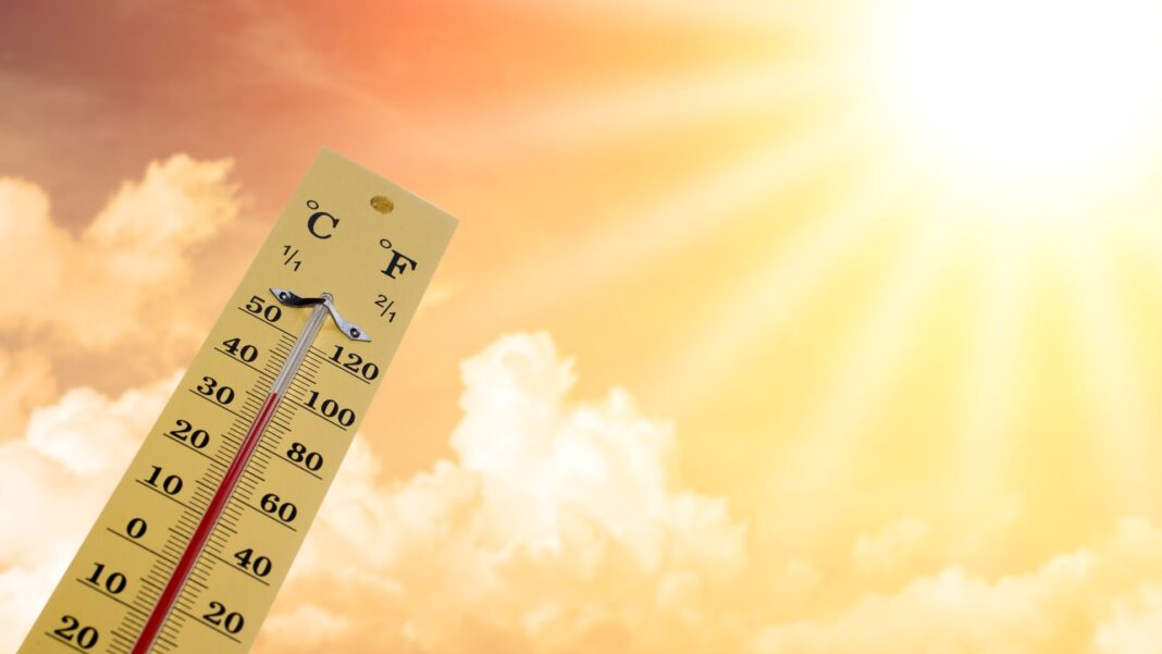35ºC en Estepona