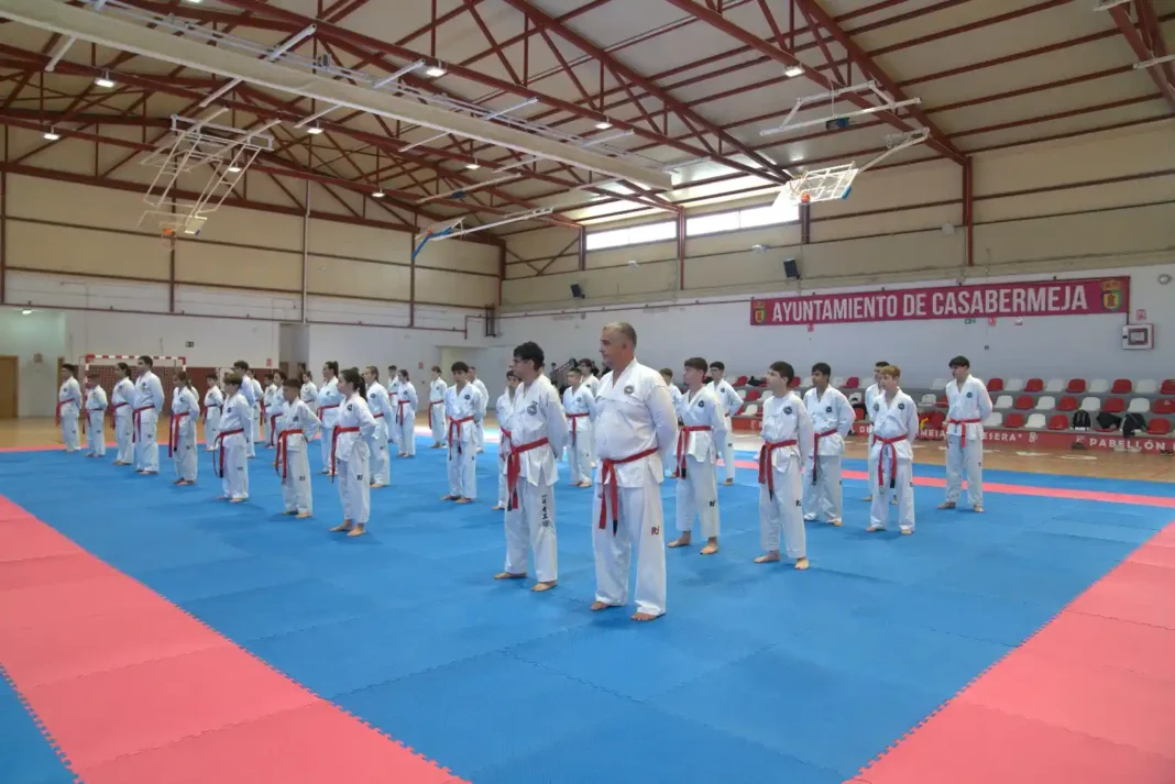 9 esteponeros logran el cinturón negro