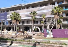 Polémica por la tala de tres ficus en una urbanización millonaria en Estepona tala de tres ficus