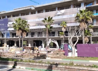 Polémica por la tala de tres ficus en una urbanización millonaria en Estepona tala de tres ficus