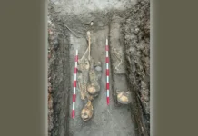 Estepona halla 12 nuevas tumbas en una necrópolis musulmana 12 nuevas tumbas