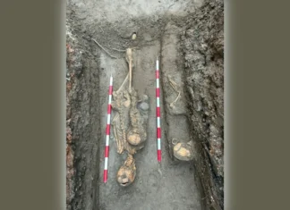 Estepona halla 12 nuevas tumbas en una necrópolis musulmana 12 nuevas tumbas