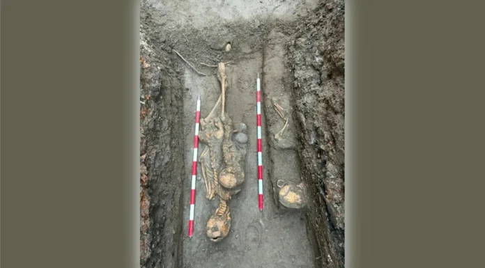 Estepona halla 12 nuevas tumbas en una necrópolis musulmana 12 nuevas tumbas