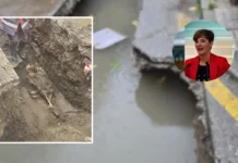 PSOE de Estepona exige explicaciones por posibles restos humanos encontrados en una obra del centro restos humanos encontrados