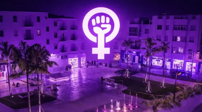 El PSOE de Estepona apoya la concentración del 8M concentración del 8M