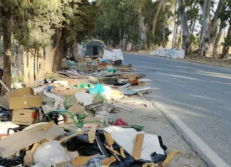La limpieza de Estepona suma críticas de la oposición y los vecinos limpieza de Estepona