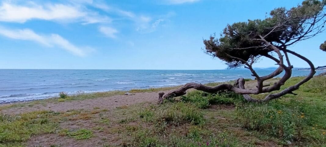La Junta desaconseja la pasarela sobre las dunas de Matas Verdes por presión del PSOE