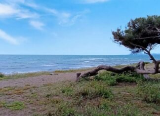 La Junta desaconseja la pasarela sobre las dunas de Matas Verdes por presión del PSOE La Junta desaconseja la pasarela sobre las dunas de Matas Verdes por presión del PSOE