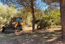 Estepona inicia el desbroce preventivo en más de 50 cauces y pasos de ríos para evitar inundaciones desbroce preventivo