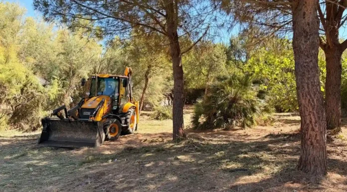 Estepona inicia el desbroce preventivo en más de 50 cauces y pasos de ríos para evitar inundaciones desbroce preventivo